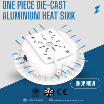 LED Canopy & Gas Station Light | NG-CPG Series